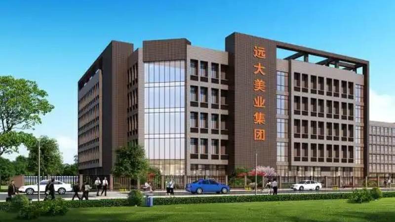 篮球赛事预测跨联赛数据口径统一为何如此困难